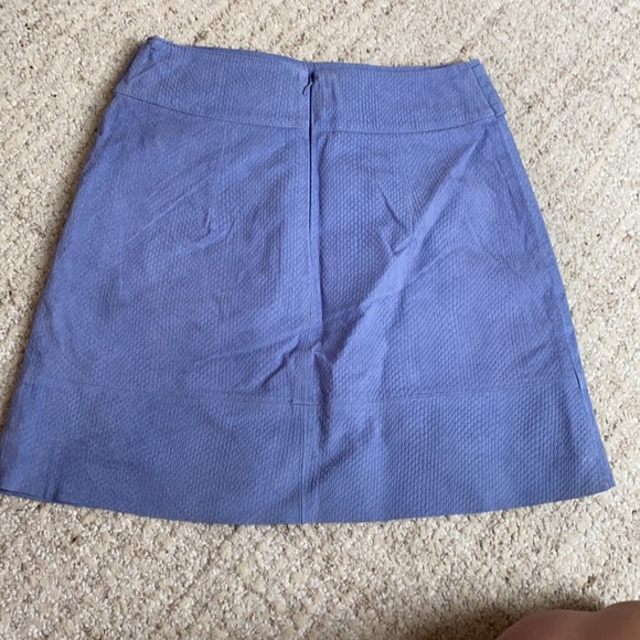 Anthropologie skirt - Picture 2 of 2